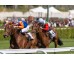  Carrera: P.Velayos Monta: R.Sousa Caballo: Cheaper